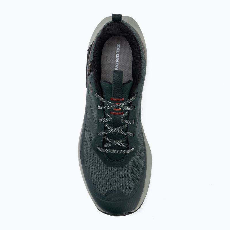 Pánské turistické boty Salomon Elixir Activ GTX scarab/green gable 5