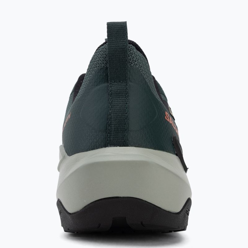 Pánské turistické boty Salomon Elixir Activ GTX scarab/green gable 6