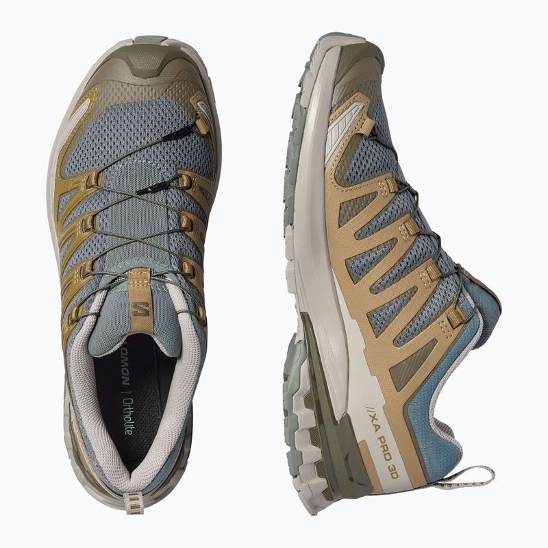 Pánské běžecké boty Salomon XA Pro 3D V9 sedona sage/plantation/paloma 5