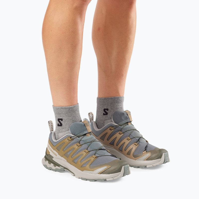 Pánské běžecké boty Salomon XA Pro 3D V9 sedona sage/plantation/paloma 7