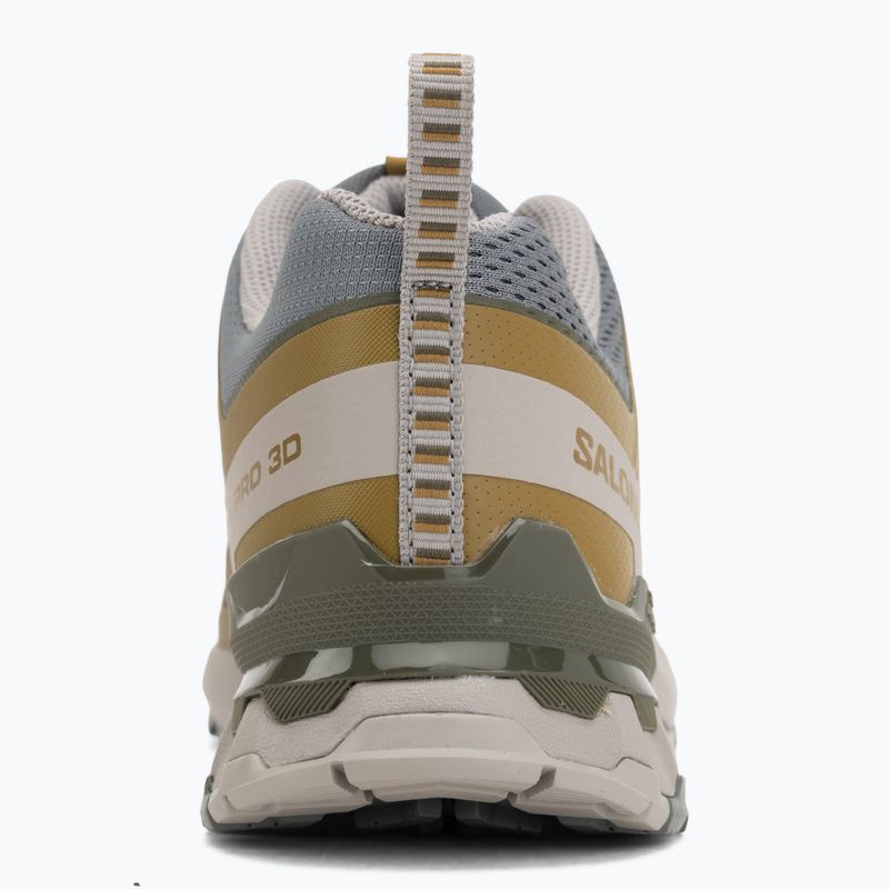 Pánské běžecké boty Salomon XA Pro 3D V9 sedona sage/plantation/paloma 6