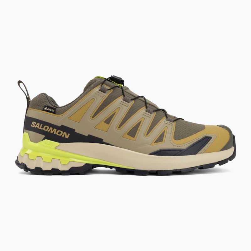 Pánské běžecké boty Salomon XA Pro 3D V9 GTX grape leaf/aloe 2