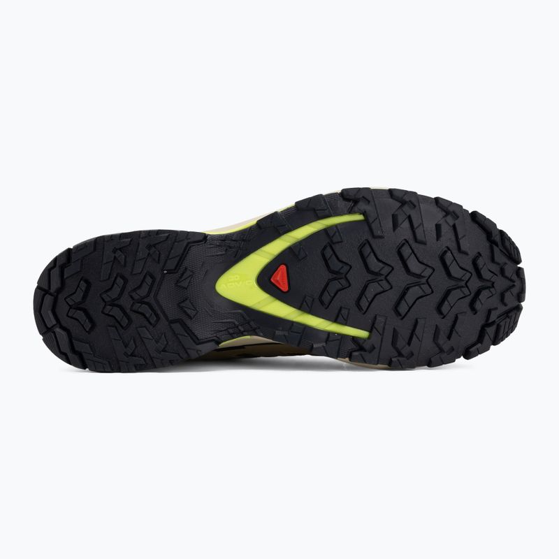 Pánské běžecké boty Salomon XA Pro 3D V9 GTX grape leaf/aloe 4