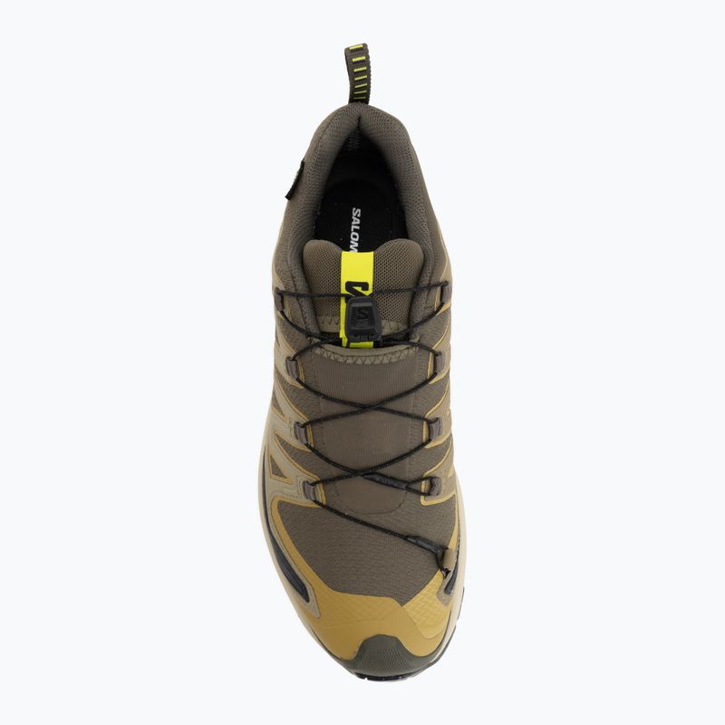 Pánské běžecké boty Salomon XA Pro 3D V9 GTX grape leaf/aloe 5