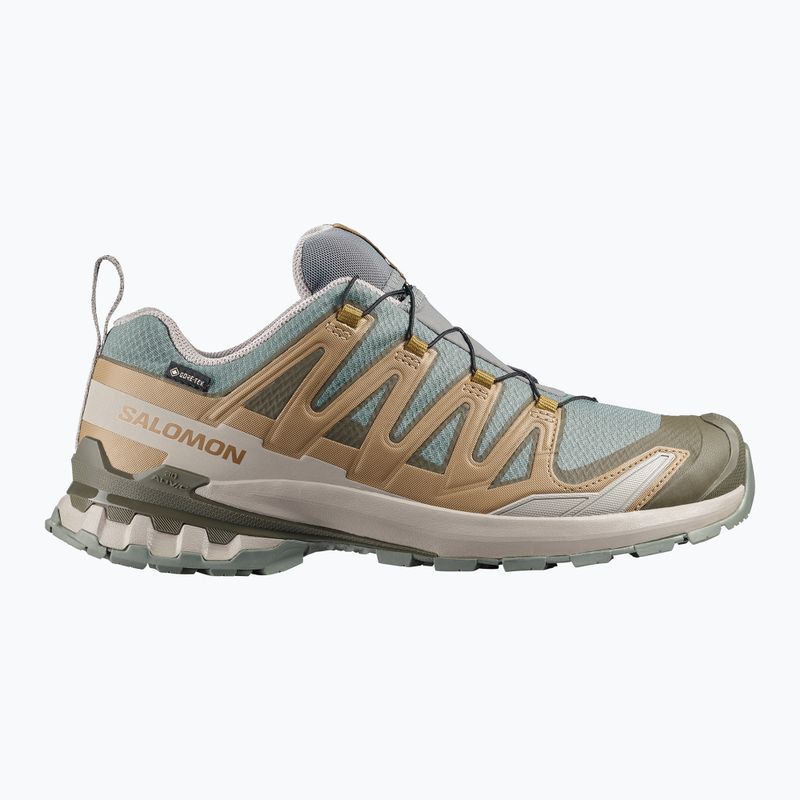 Pánské běžecké boty Salomon XA Pro 3D V9 GTX sedona sage/brilliant olive