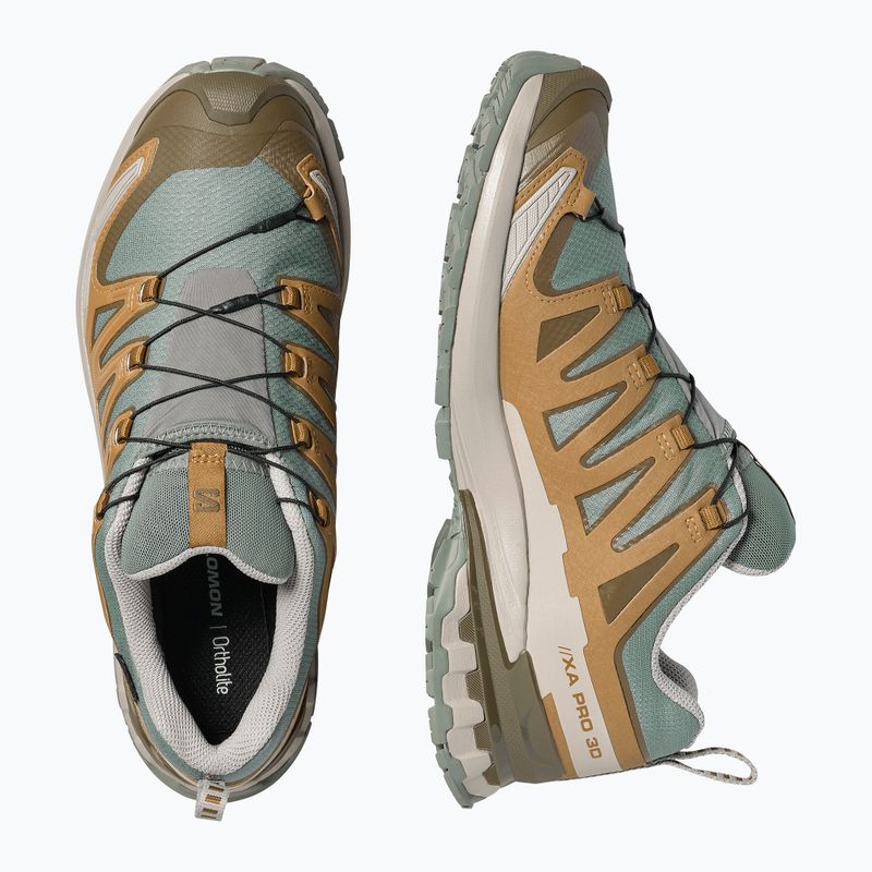 Pánské běžecké boty Salomon XA Pro 3D V9 GTX sedona sage/brilliant olive 3