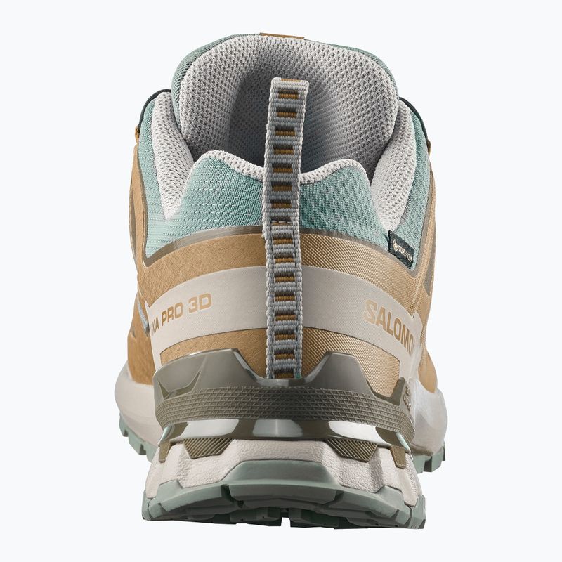 Pánské běžecké boty Salomon XA Pro 3D V9 GTX sedona sage/brilliant olive 5