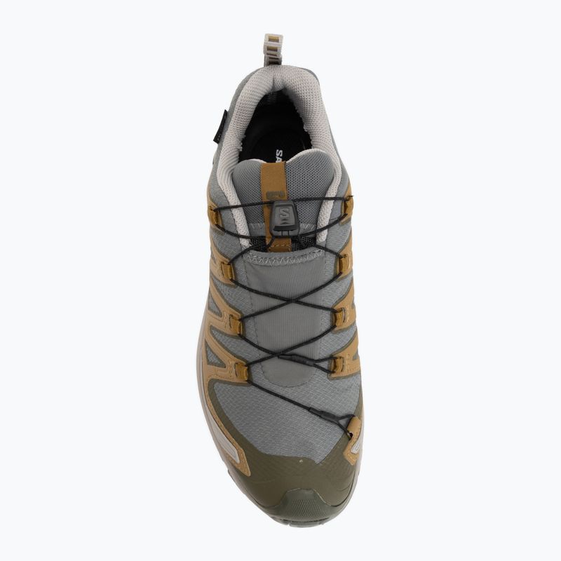 Pánské běžecké boty Salomon XA Pro 3D V9 GTX sedona sage/brilliant olive 5