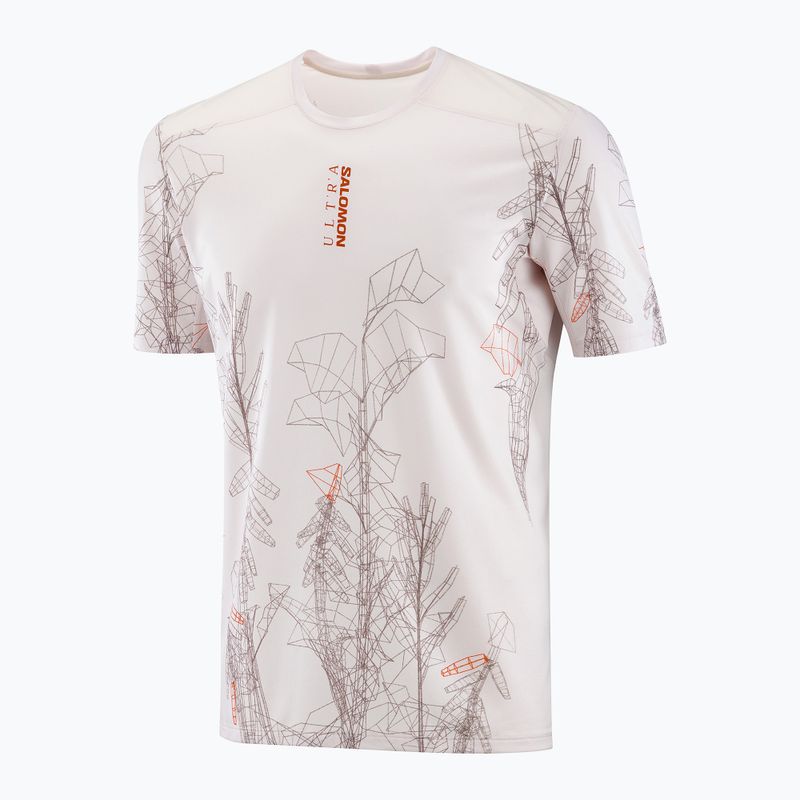 Pánské běžecké tričko Salomon S/Lab Ultra Tee Aop lilac ash 4