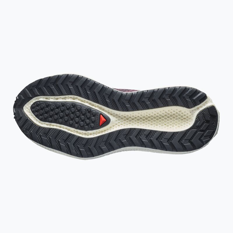 Dámské běžecké boty Salomon Aero Glide 4 GRVL huckleberry/black 4