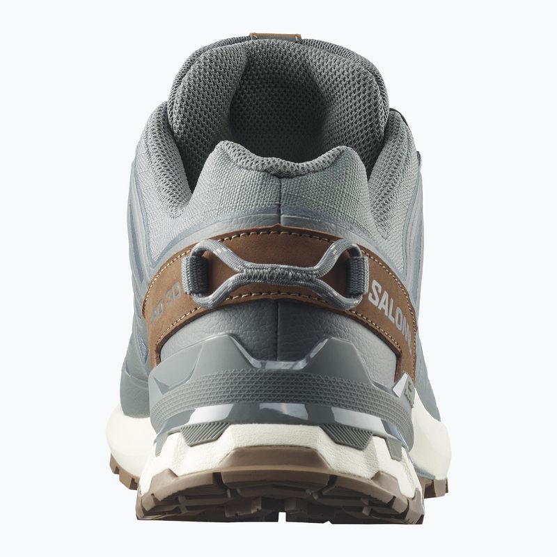 Pánské běžecké boty Salomon XA Pro 3D V9 GTX Lifelong sedona sage/coyote brown 5
