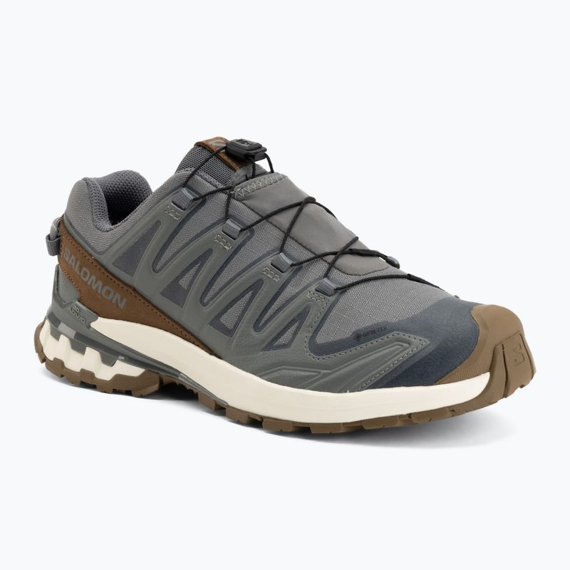 Pánské běžecké boty Salomon XA Pro 3D V9 GTX Lifelong sedona sage/coyote brown