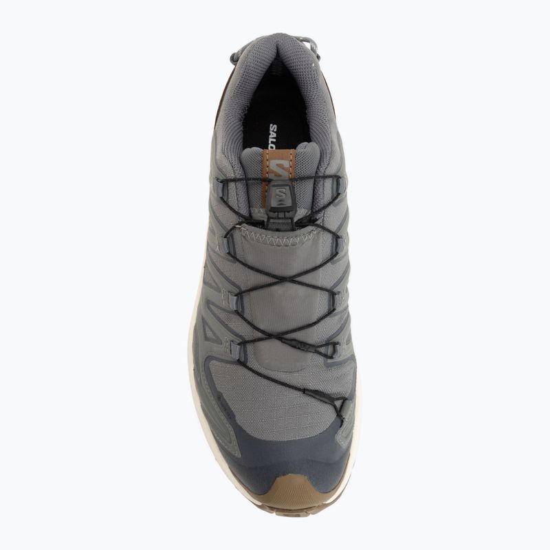 Pánské běžecké boty Salomon XA Pro 3D V9 GTX Lifelong sedona sage/coyote brown 5