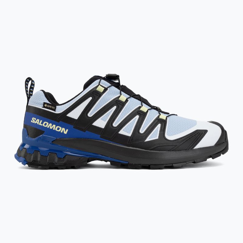 Pánské běžecké boty Salomon XA Pro 3D V9 GTX Icon black/brunnera blue 2