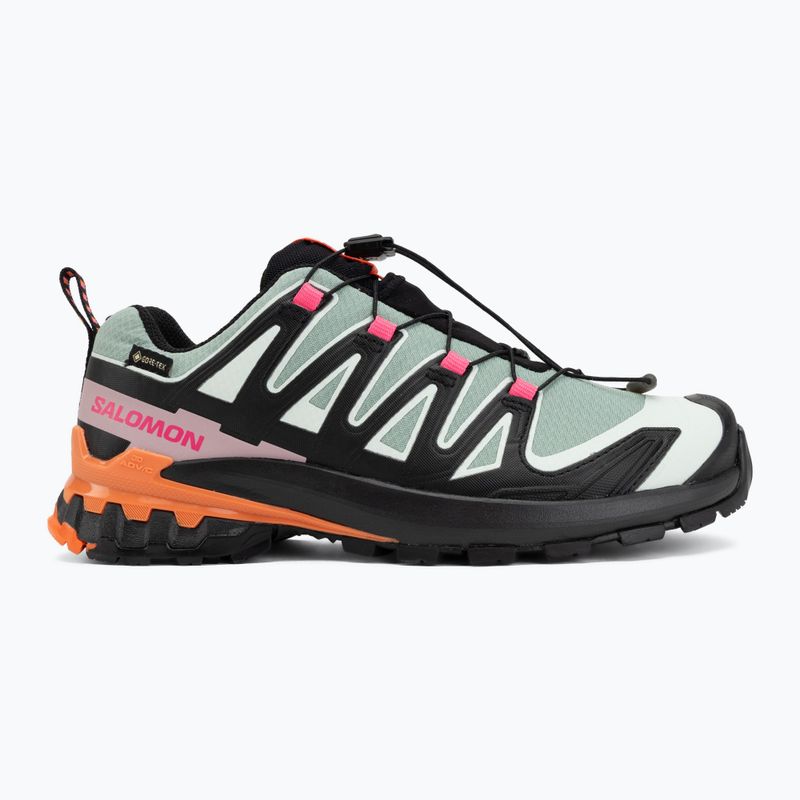 Dámské běžecké boty Salomon XA Pro 3D V9 GTX Icon black/green milieu 2