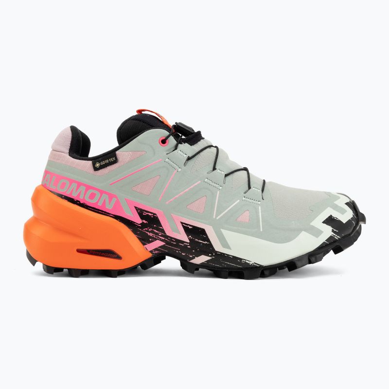 Dámské běžecké boty Salomon Speedcross 6 GTX Icon black/green milieu 2