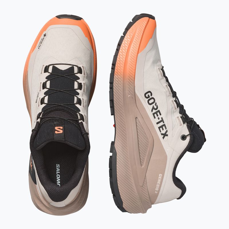 Dámské běžecké boty Salomon Genesis 2 GTX rainy day/desert tan 3