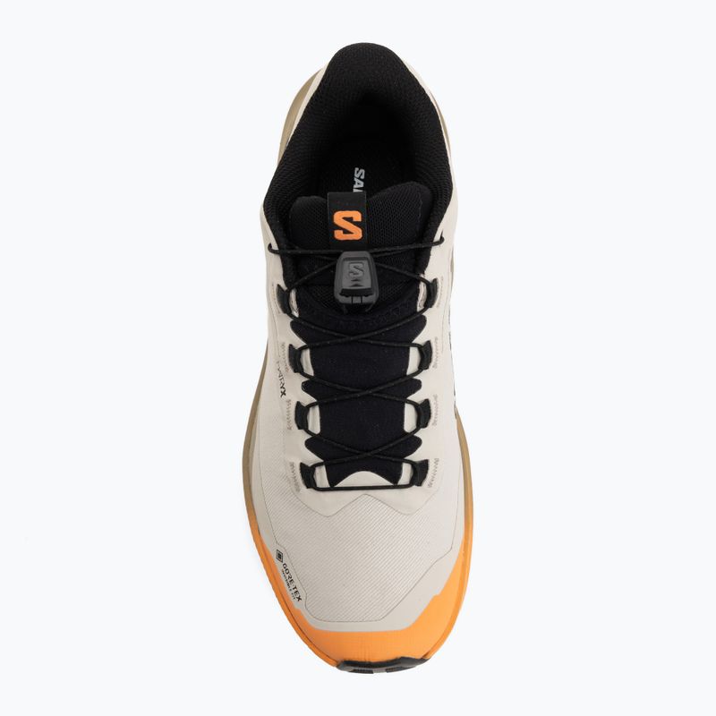 Dámské běžecké boty Salomon Genesis 2 GTX rainy day/desert tan 5