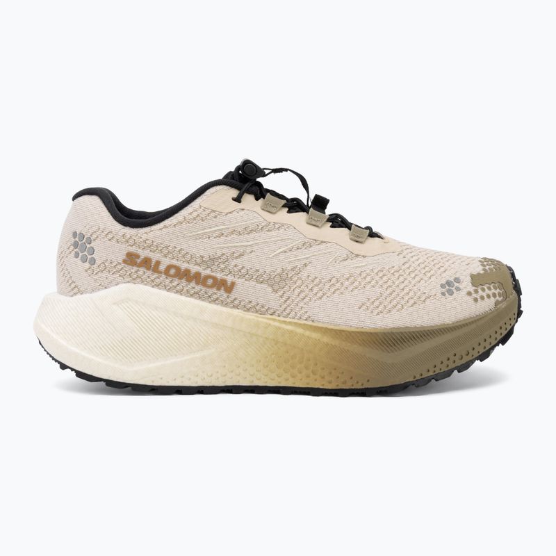 Dámské běžecké boty Salomon Aero Blaze 4 GRVL tapioca/vanilla ice 2