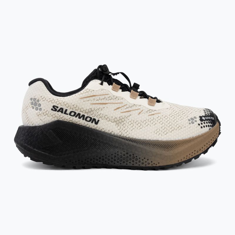 Dámské běžecké boty Salomon Aero Blaze 4 GRVL GTX vanilla ice/black 2