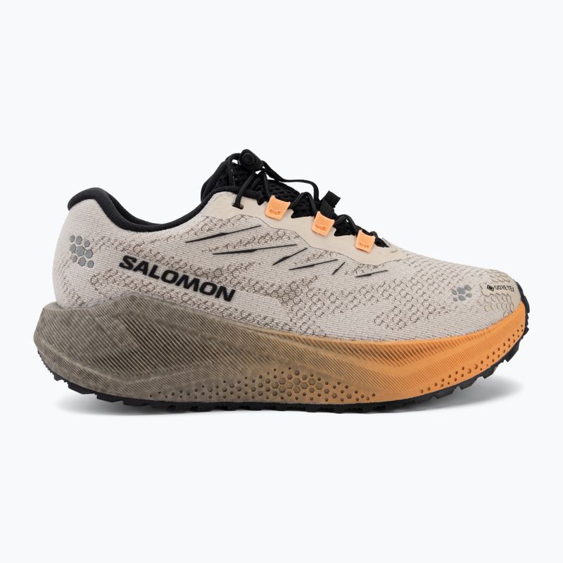 Dámské běžecké boty Salomon Aero Blaze 4 GRVL GTX rainy day/black 2