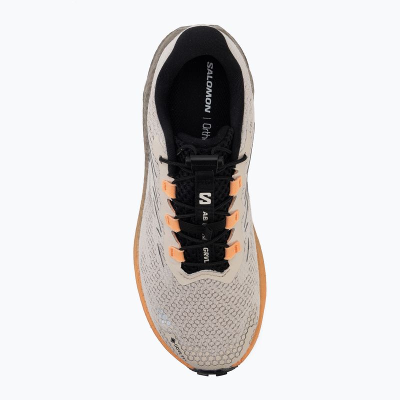 Dámské běžecké boty Salomon Aero Blaze 4 GRVL GTX rainy day/black 5