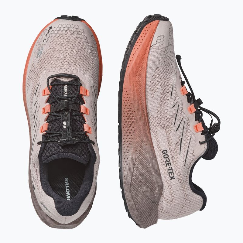 Dámské běžecké boty Salomon Aero Blaze 4 GRVL GTX rainy day/black 3