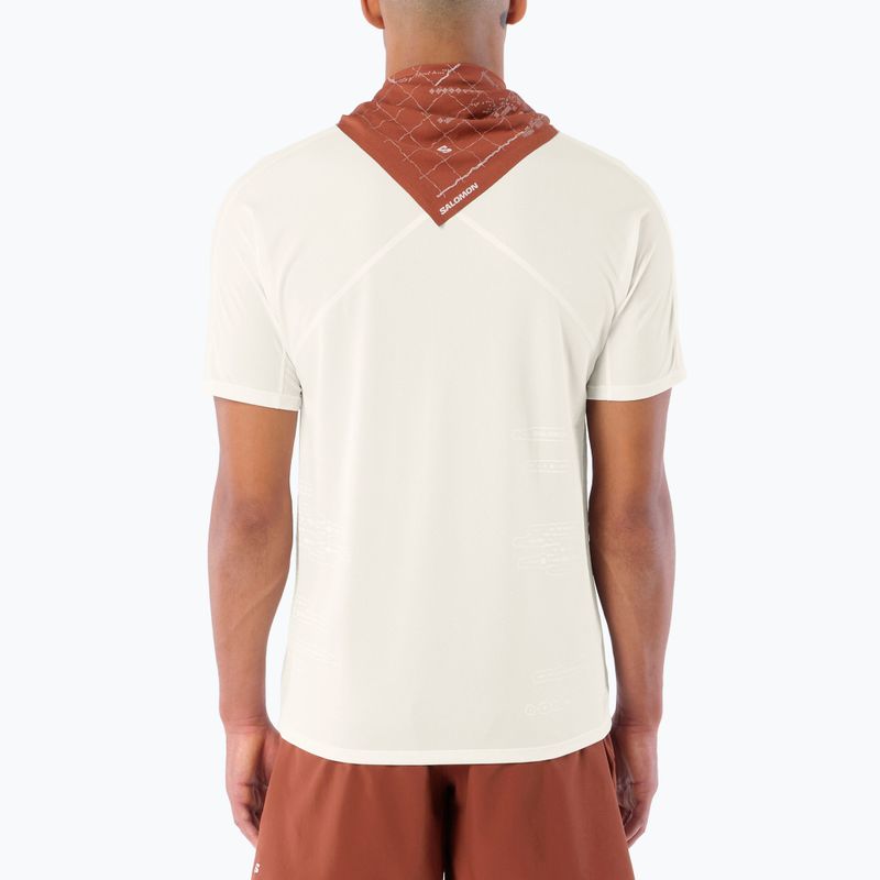 Pánské běžecké tričko Salomon Sense Aero GFX Tee SS whisper white/raind day/bright white 2
