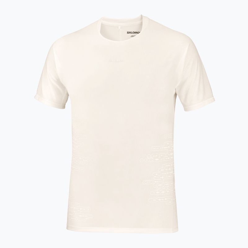 Pánské běžecké tričko Salomon Sense Aero GFX Tee SS whisper white/raind day/bright white 5
