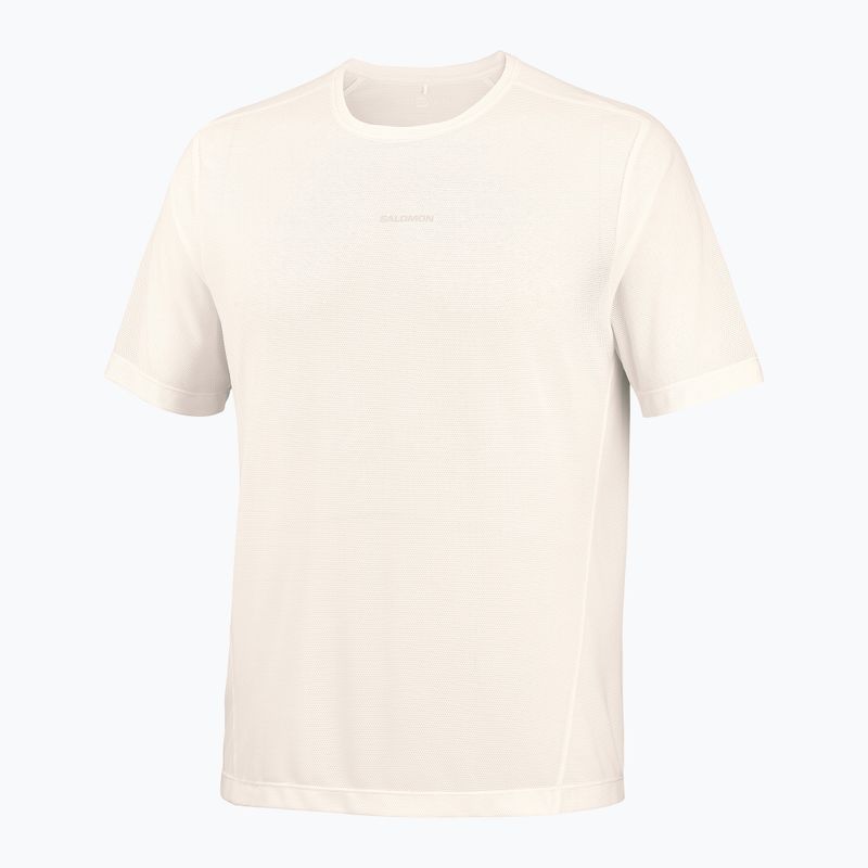 Pánské běžecké tričko Salomon Shakeout Core GFX SS Tee whisper white/pink frosting 5