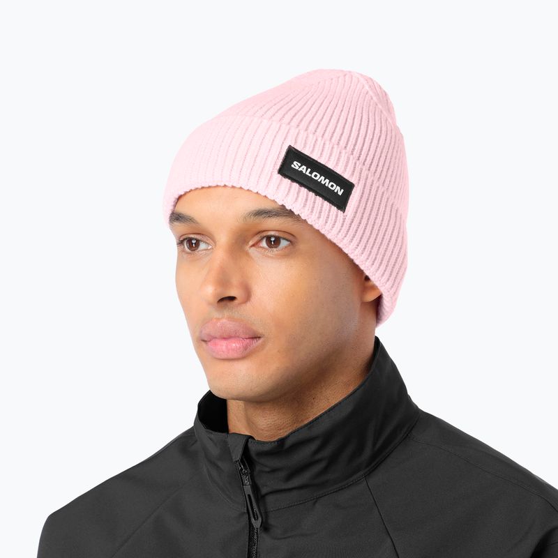 Zimní čepice Salomon Classic icy pink 2