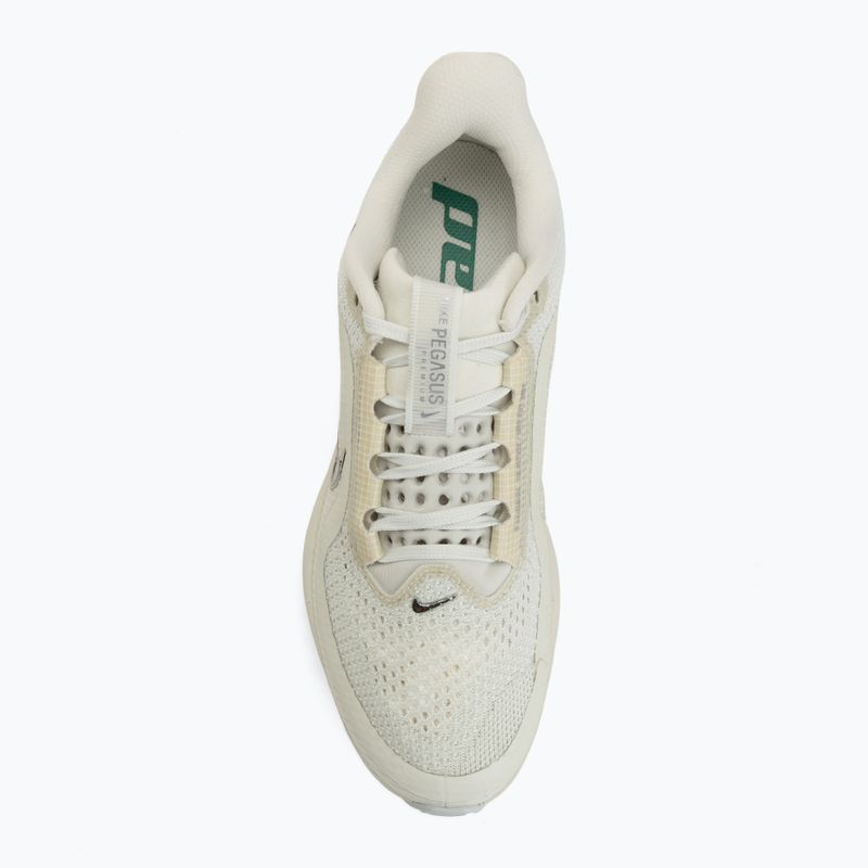 Dámské běžecké boty Nike Pegasus Premium sea glass/malachite/metallic silver 5