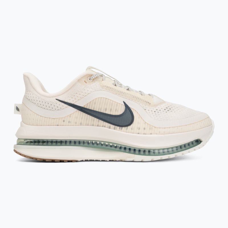 Pánské běžecké boty Nike Pegasus Premium Pale ivory/jade horizon/black spruce 2