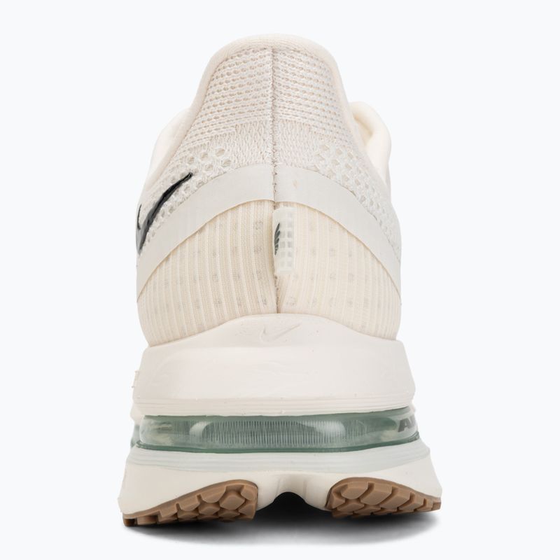 Pánské běžecké boty Nike Pegasus Premium Pale ivory/jade horizon/black spruce 6