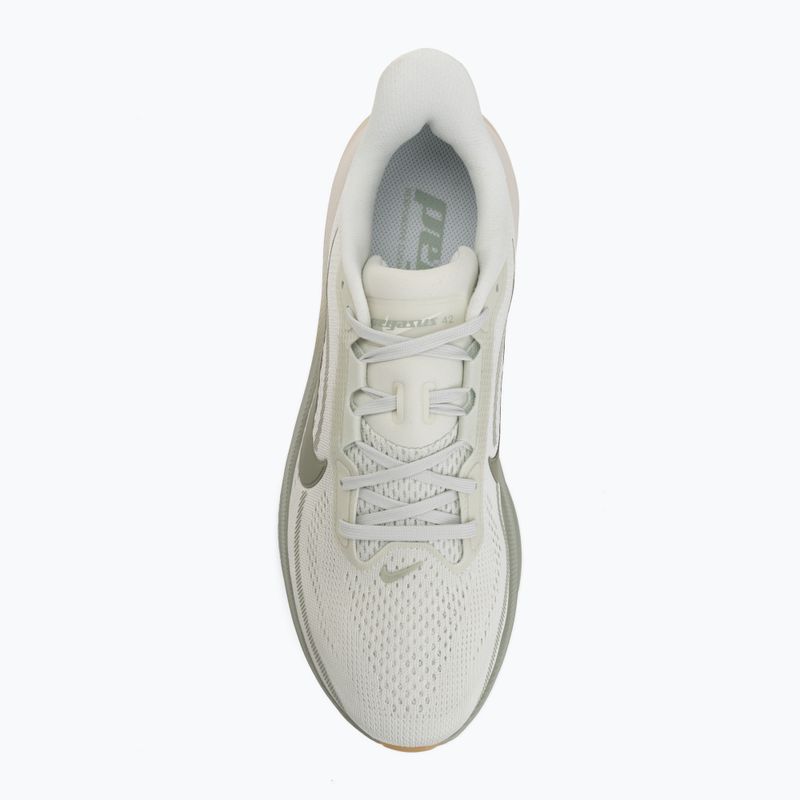 Pánské běžecké boty Nike Pegasus 42 spruce aura/pale ivory/jade horizon 5