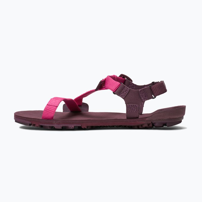 Dámské barefoot sandály Xero Shoes Z-Trail EV fuchsia purple 2
