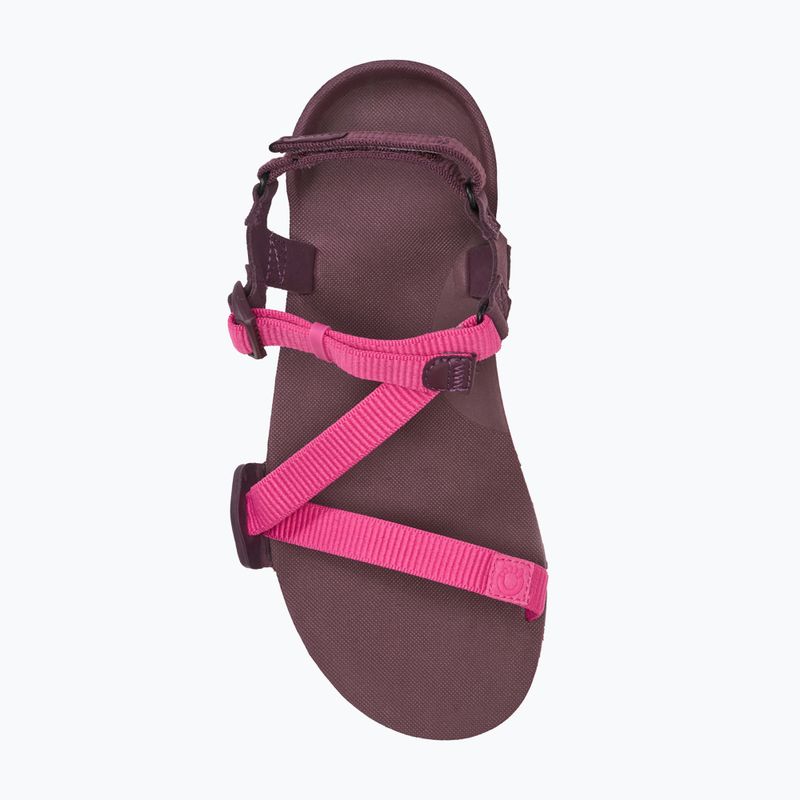 Dámské barefoot sandály Xero Shoes Z-Trail EV fuchsia purple 5