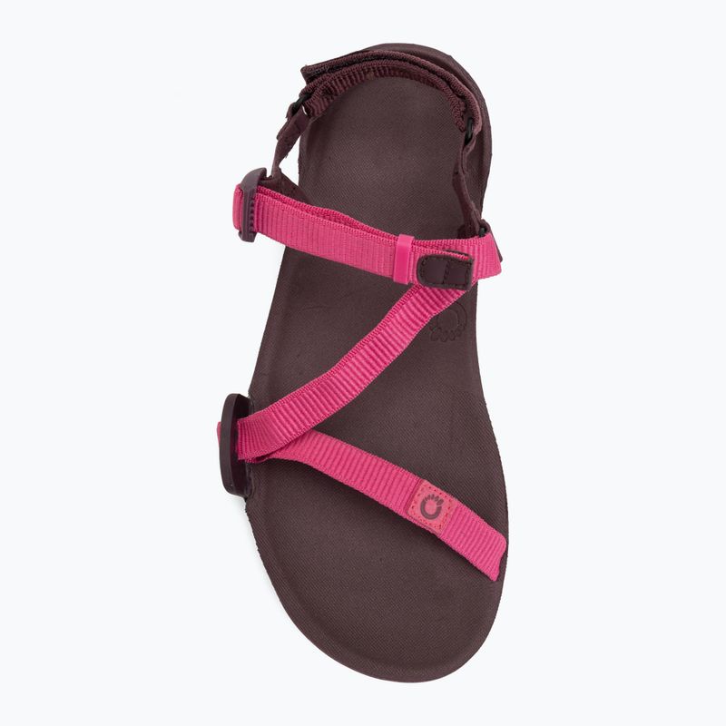 Dámské barefoot sandály Xero Shoes Z-Trail EV fuchsia purple 5