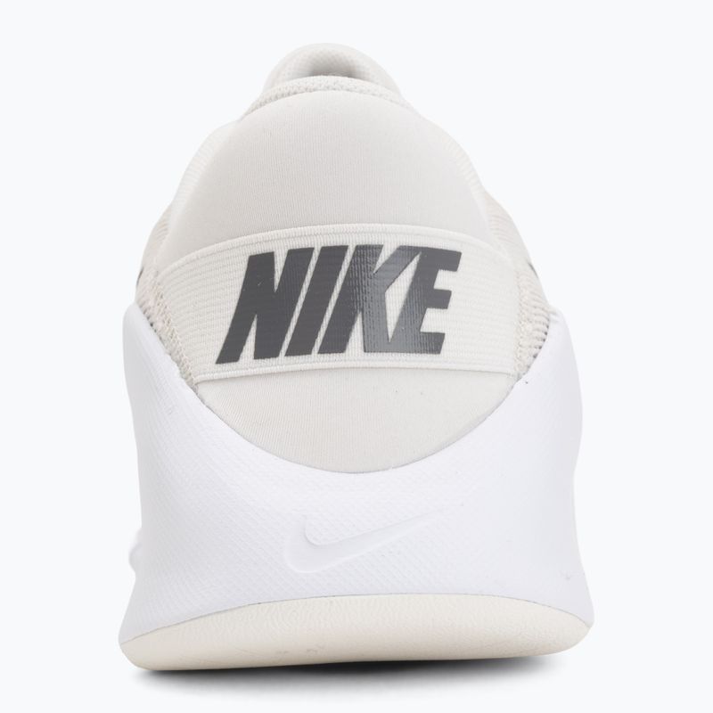 Pánské tréningové boty Nike Flex Train phantom/white/sail/pencil point 6
