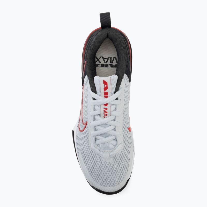 Pánské tréningové boty Nike Air Max Alpha Trainer 6 pure platinum/black/ white/university red 5