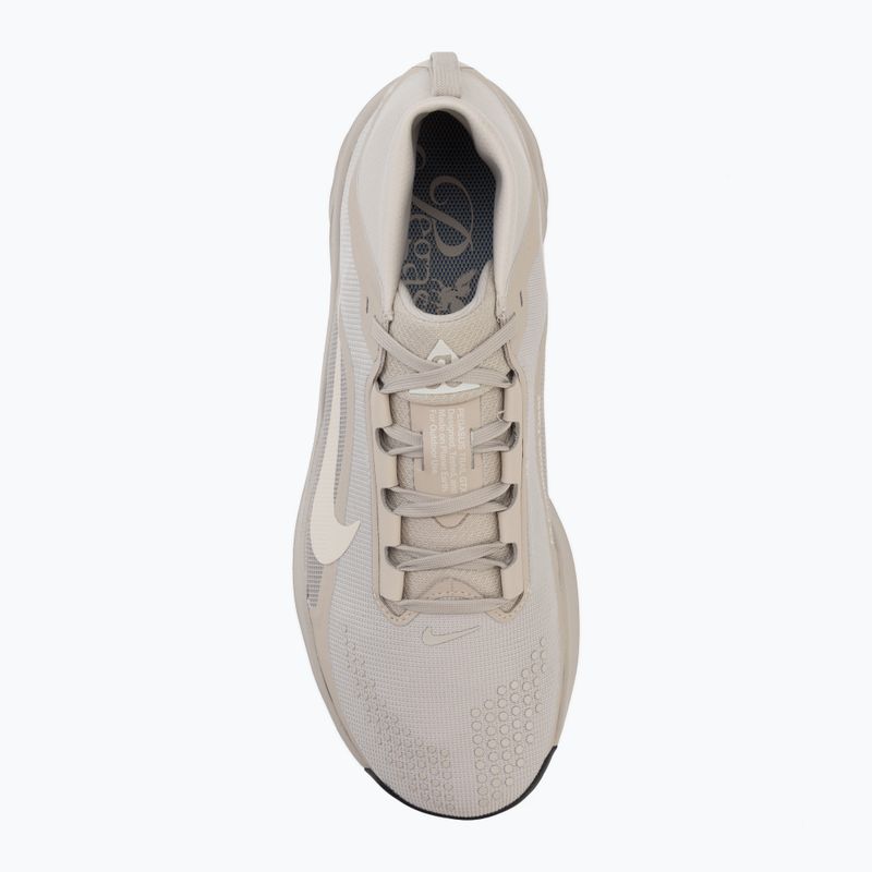 Pánské běžecké boty Nike ACG Pegasus Trail GORE-TEX Cream Ii/Light Orewood Brown 5