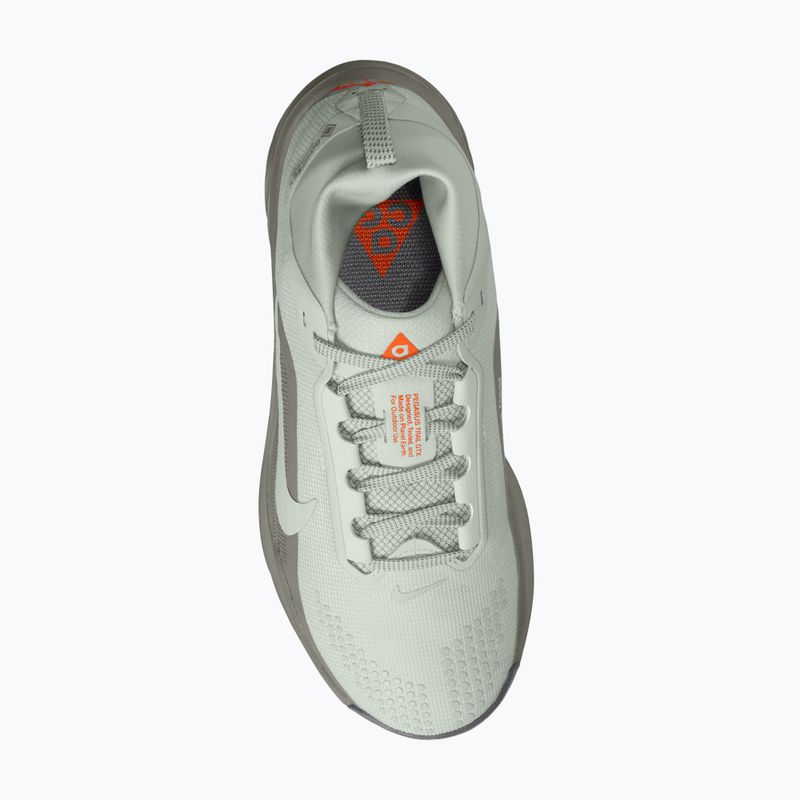 Dámské běžecké boty Nike ACG Pegasus Trail GORE-TEX Light Silver/Light Army/Light Silver 4