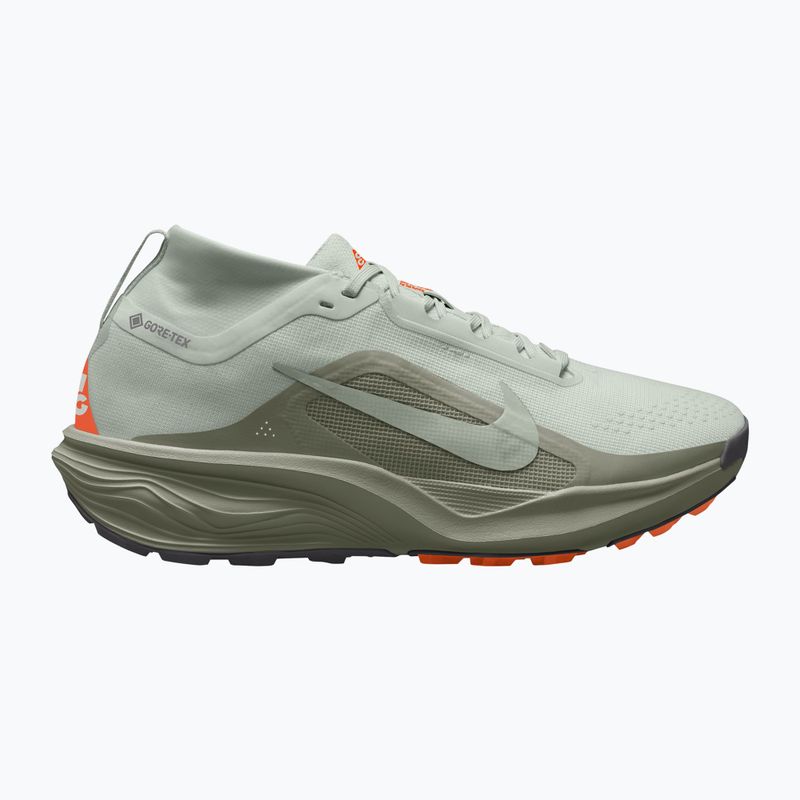 Pánské běžecké boty Nike ACG Pegasus Trail GORE-TEX Light Silver/Light Army/Light Silver
