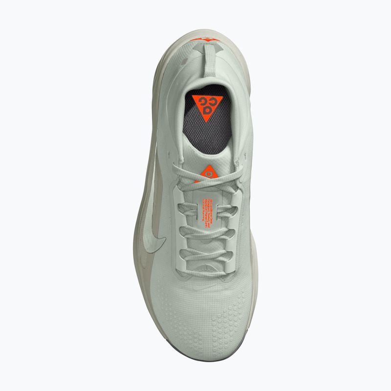 Pánské běžecké boty Nike ACG Pegasus Trail GORE-TEX Light Silver/Light Army/Light Silver 4