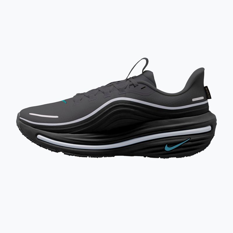 Pánské běžecké boty Nike Winflo 12 GORE-TEX anthracite/black/bright spruce 2