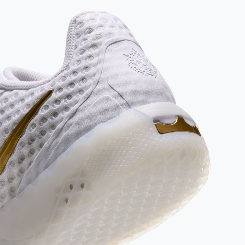 Pánské basketbalové boty Nike LeBron Witness X white/white/photon dust/metallic gold 5