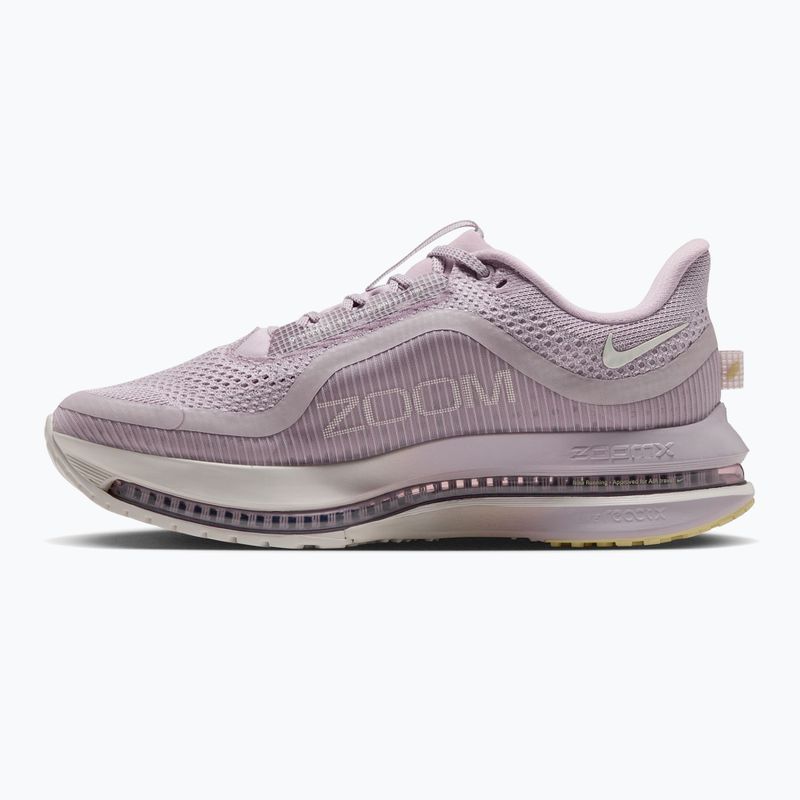 Dámské běžecké boty Nike Pegasus Premium particle rose/silver lilac/sail 2