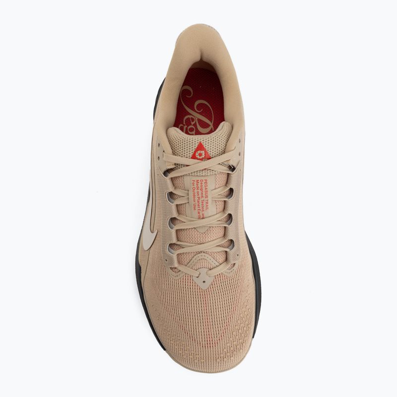 Pánské běžecké boty Nike ACG Pegasus Trail linen/black/light crimson/light orewood brown 5