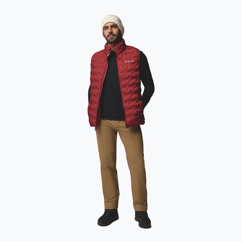 Pánské lezecké kalhoty Columbia ROC Tech Warm Chino delta 2