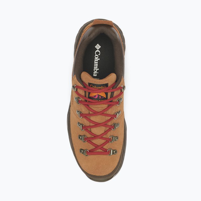 Pánské trekové boty Columbia Newton Alpine Low grizzly bear/red oxide 4